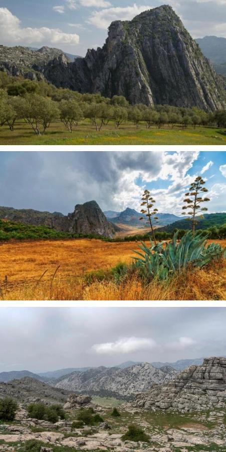 Hotel Rural Palacete De Manara Монтехаке Екстер'єр фото